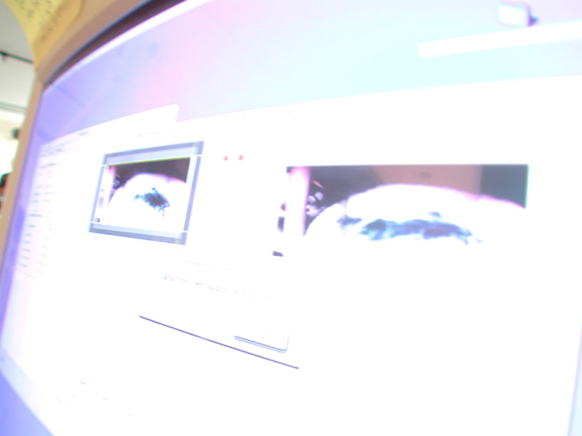 DSCN6879