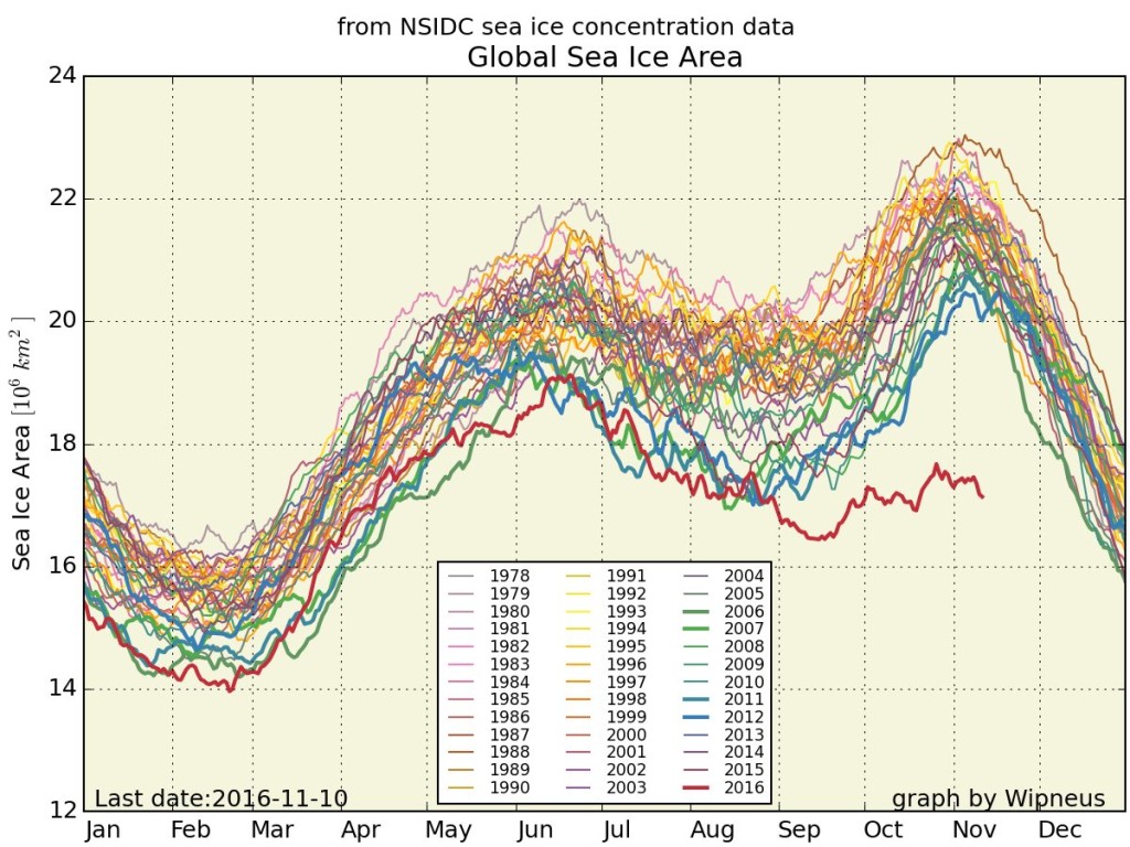 sea ice