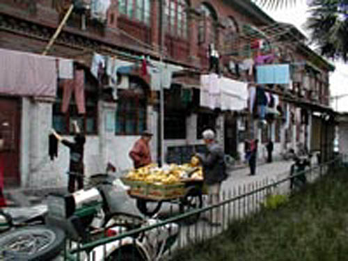 Man selling bananas