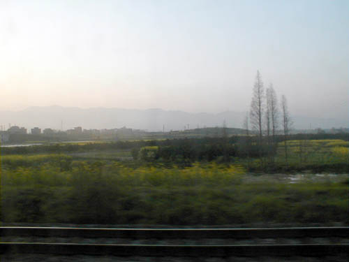 From the train window