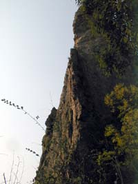 Mountain scene