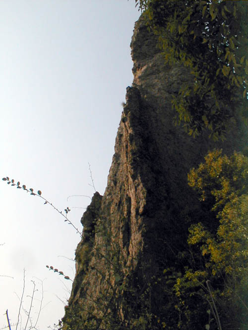 Mountain scene