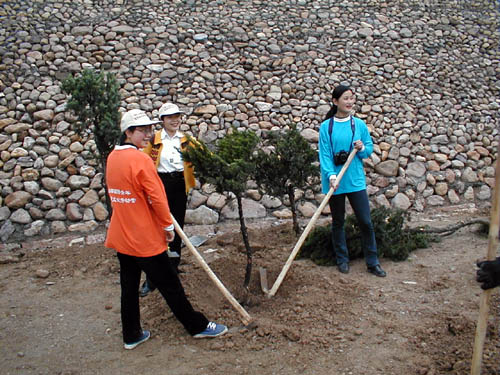 Planting some trees