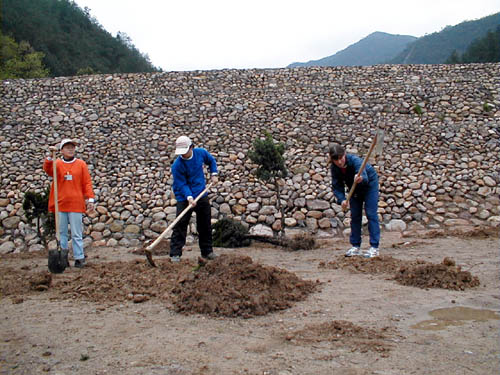 Digging