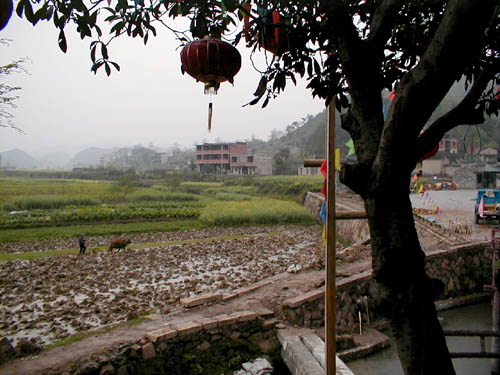 From the restaurant in the side of the hill
