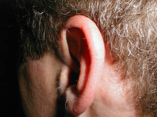 Graeme`s ear