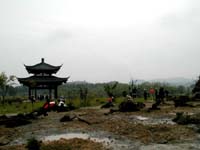 Temple