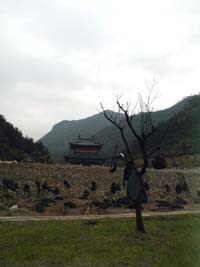 A tree of coats
