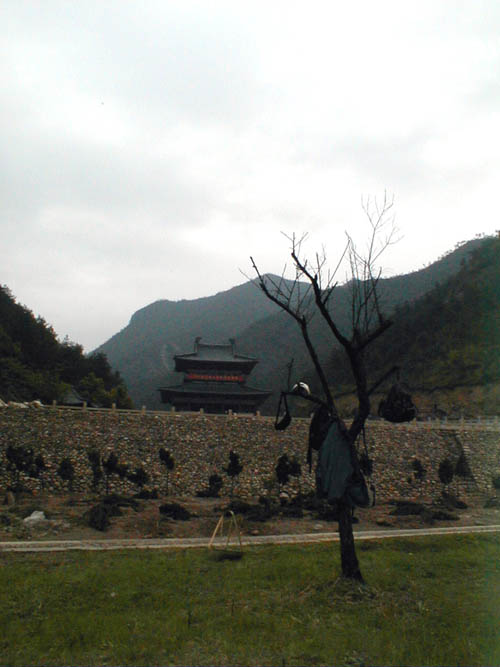 A tree of coats