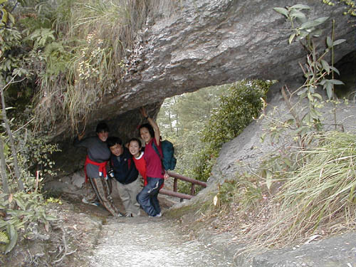 4 under a rock