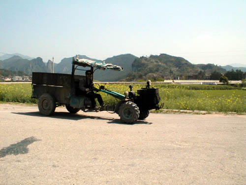 Local transport