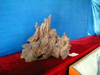Wooden sculptures