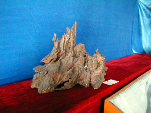 Wooden sculptures
