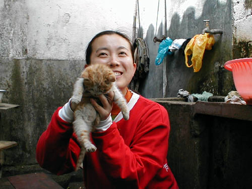Wen Bo and cute kitten