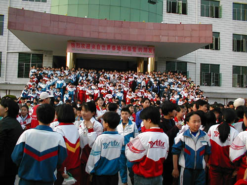 School