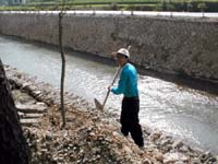 Ditch filling
