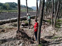 Ditch filling