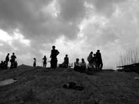 Tree planting at the school