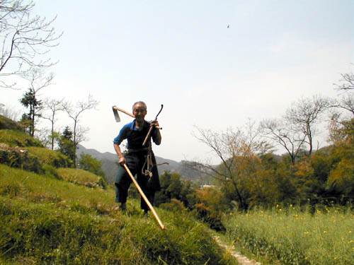 Old farmer