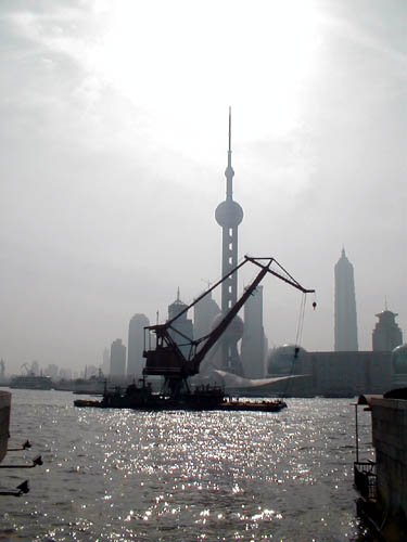 Crane on river