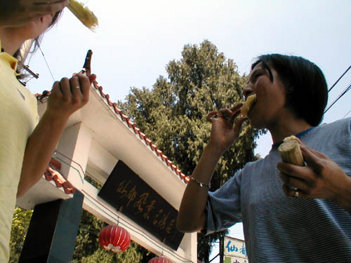 Eating bamboo