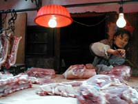 Meat