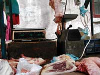 Meat