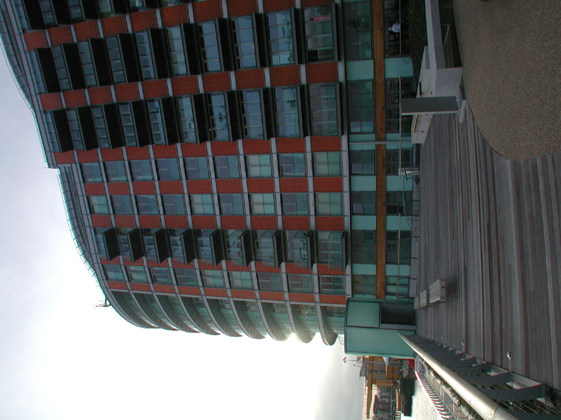 DSCN7704