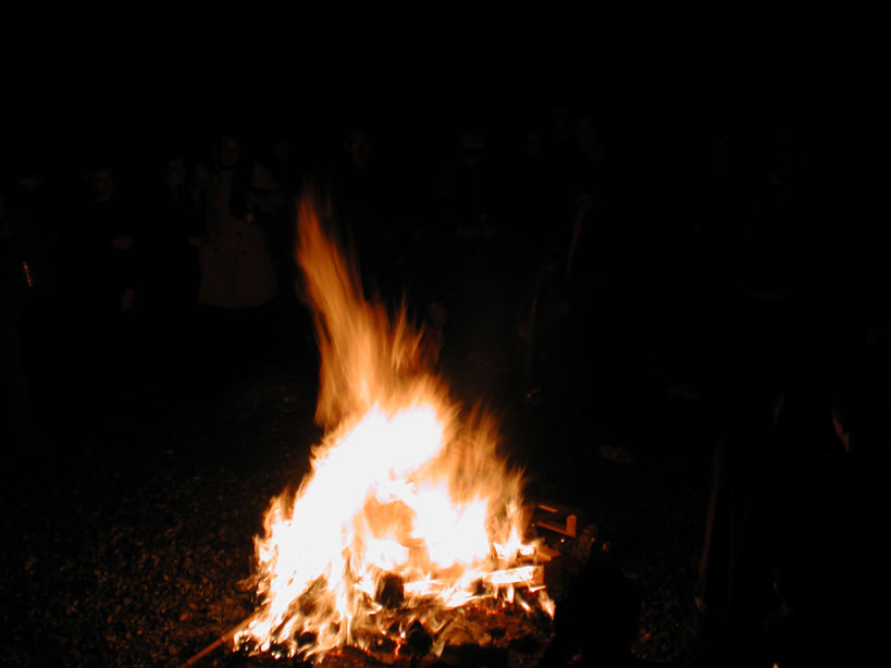 DSCN7738